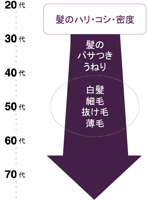 髪のハリ・コシ・密度