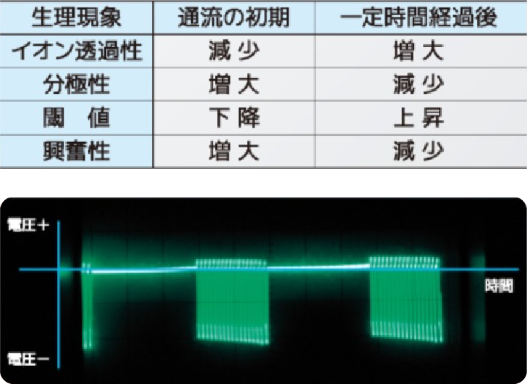 陰極通流作用の図表
